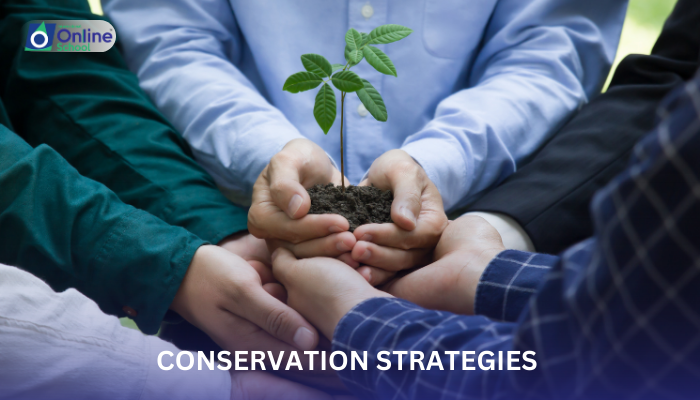 Lesson 20: Conservation Strategies